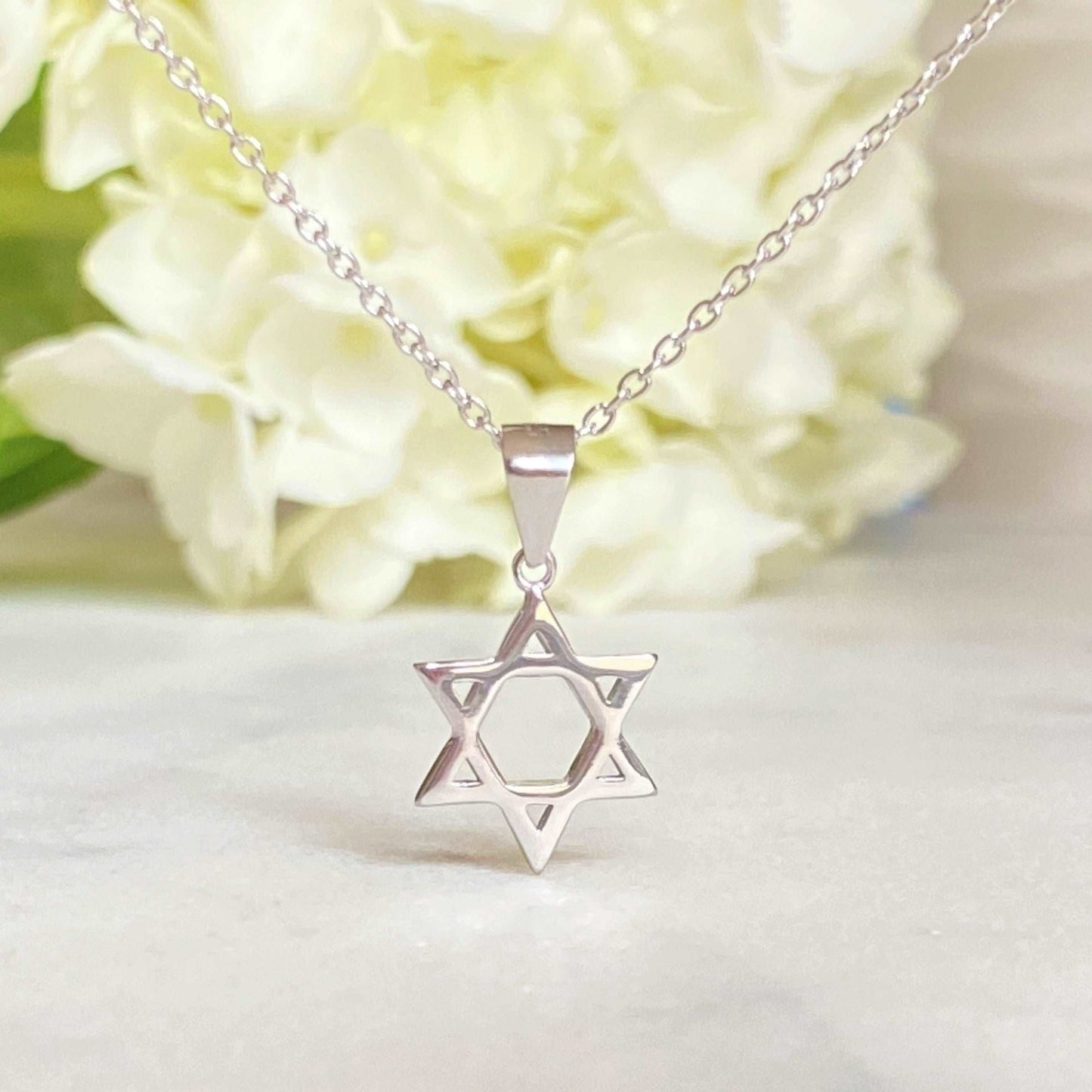 PyP JEWELERS Star of David Necklace for Women | Made with solid High Quality 925 Sterling Silver | Available in Gold, Rose Gold and Silver.