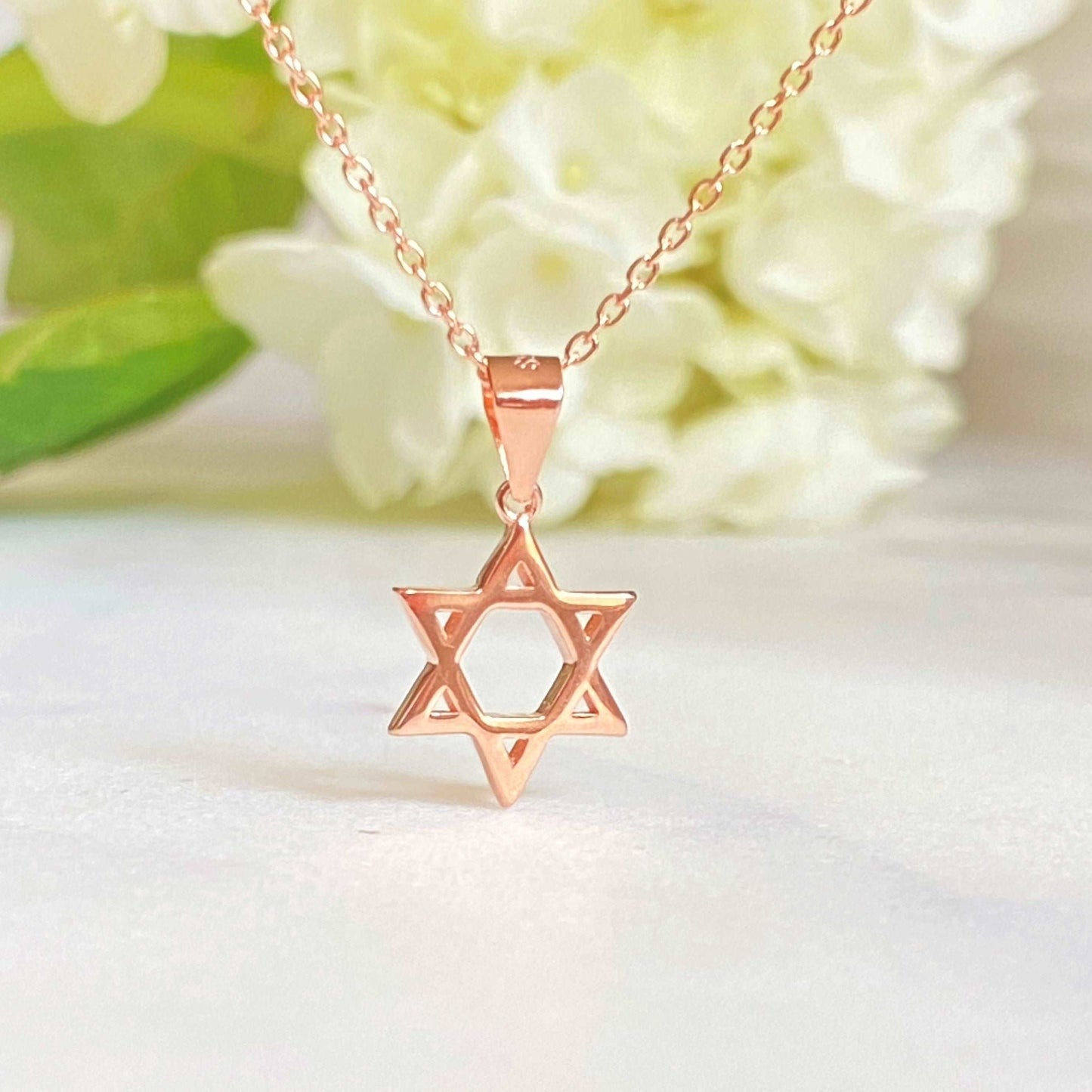 PyP JEWELERS Star of David Necklace for Women | Made with solid High Quality 925 Sterling Silver | Available in Gold, Rose Gold and Silver.